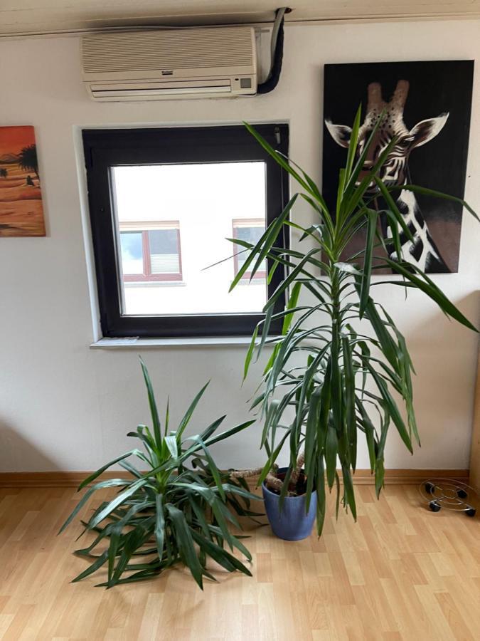 Monteurwohnung - Ferienwohnung Naehe Limburg An Der Lahn Flacht Экстерьер фото